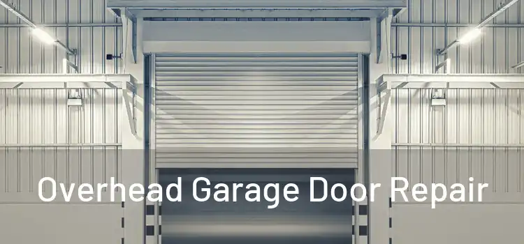  Overhead Garage Door Repair 